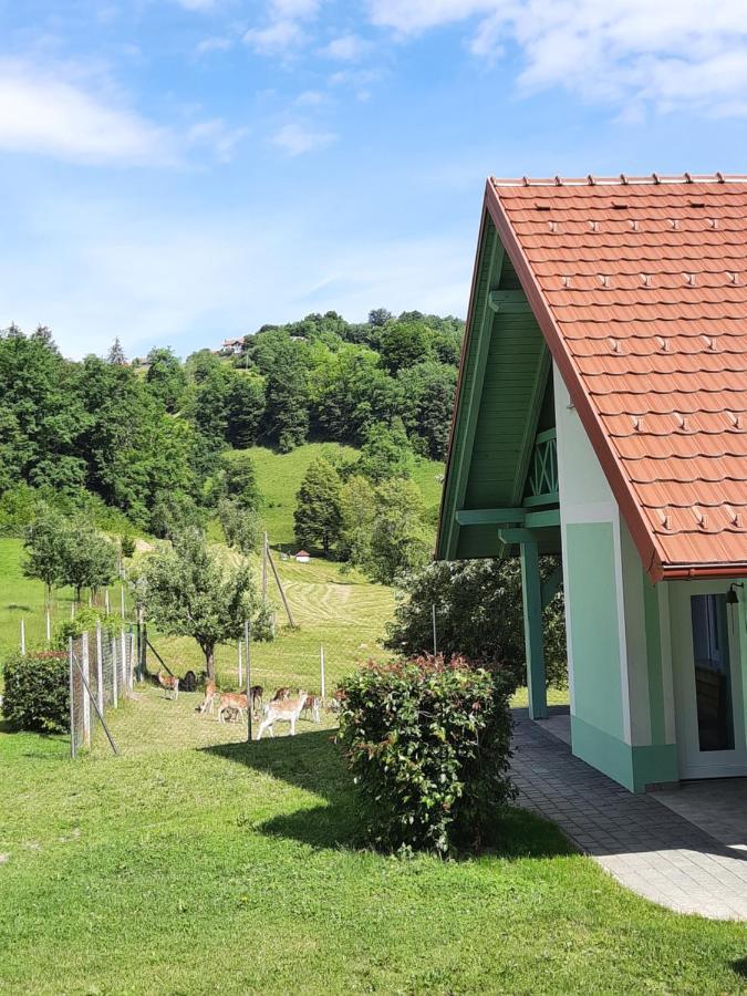 Holiday Home Neokrnjena Narava Sevnica Εξωτερικό φωτογραφία